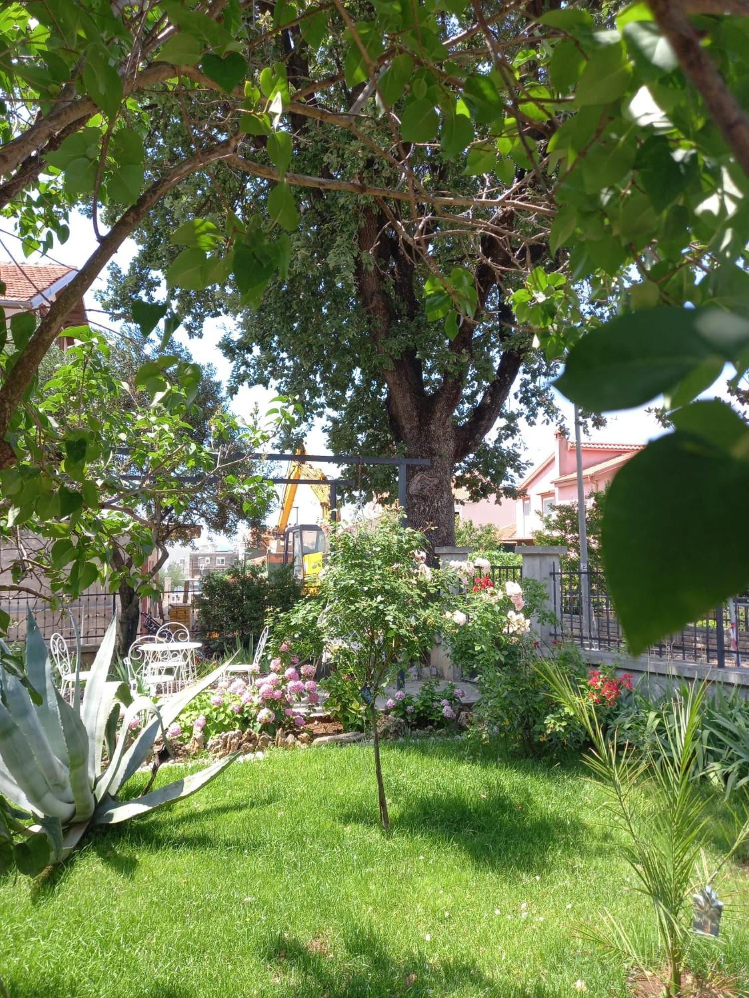 Appartement Kucica *